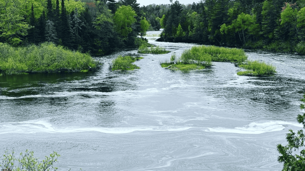 lower falls in Tahquamenon Falls